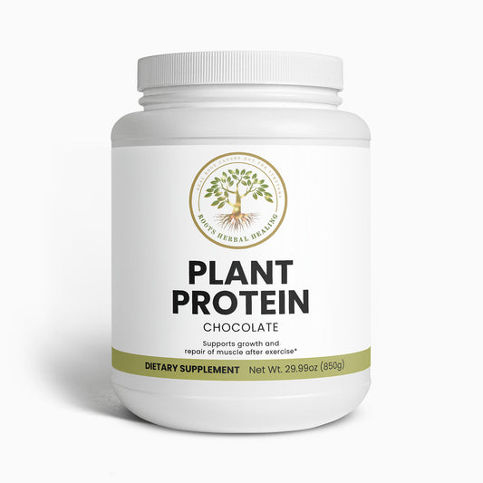 Plant Protein (Chocolate)